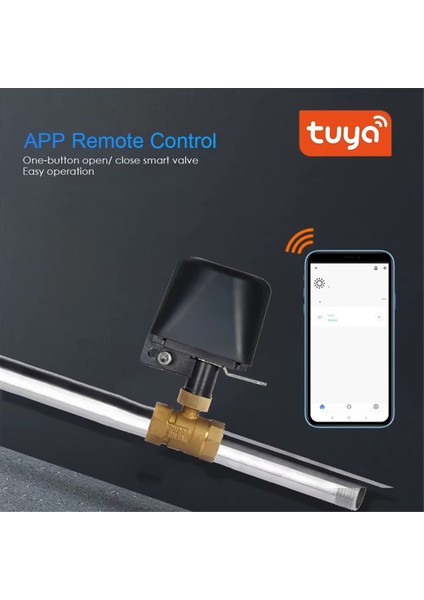 DN15 Kablosuz Kontrol Çalışma+Alexa Ev Abd Fişi (Yurt Dışından) modelleri