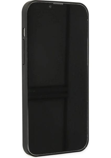 iPhone 12 Kılıf Jack Magneticsafe Lens Silikon - Siyah indirimleri