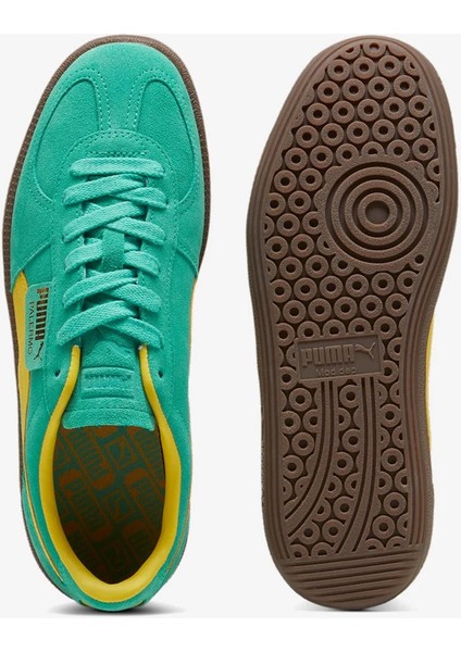 Palermo Erkek Sneaker fiyatları
