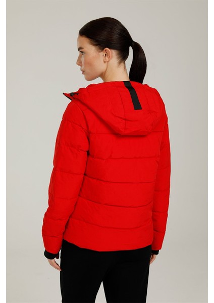 Kırmızı Kadın Mont 101044531 fiyatları