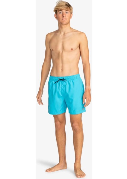 EBYJV00134 All Day Lb Erkek Şort Mayo modelleri