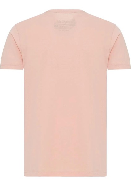 TIMOTHY RFTIMOTHY22 fiyatları