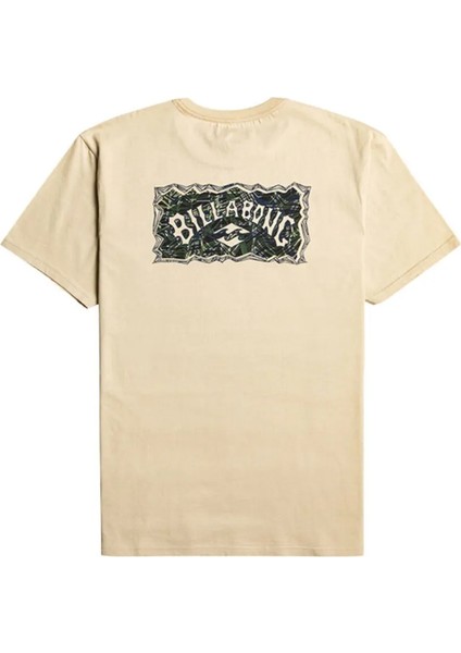 A/div Arch Erkek T-Shirt fiyatları