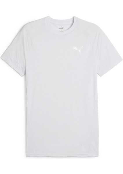 Evostripe Tee Erkek T-Shirt
