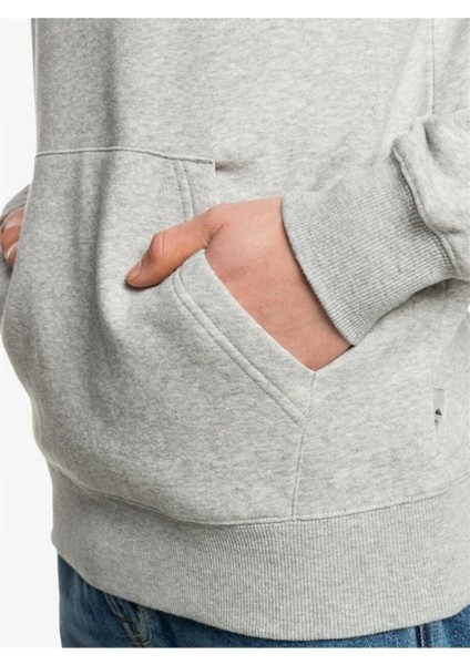 Big Logo Hood Erkek Sweatshirt fırsatları