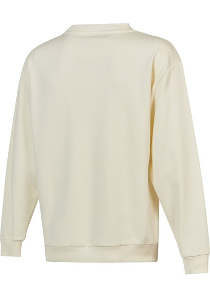 NB Lifestyle Erkek Sweatshirt fiyatları