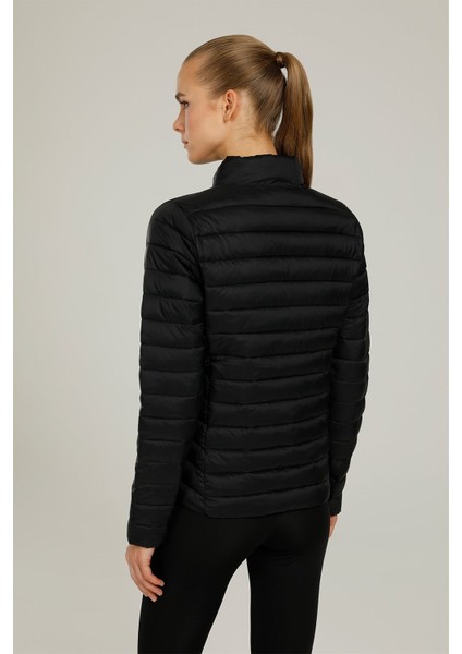 1W Basıc Padded Coat 1Pr Kadın Siyah Mont - 101044463 fiyatları