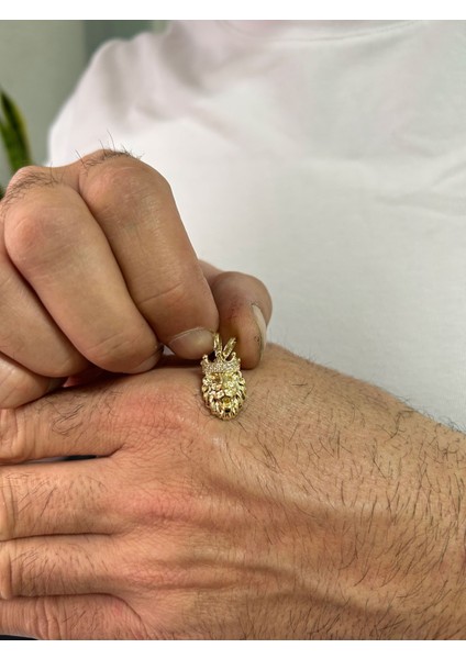 Küçük Boy Altın Aslan Model Erkek Kolye Ucu fiyatları
