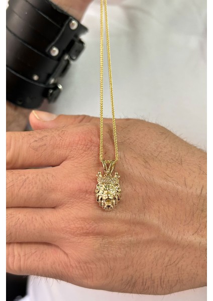 Küçük Boy Altın Aslan Model Erkek Kolye Ucu fırsatları