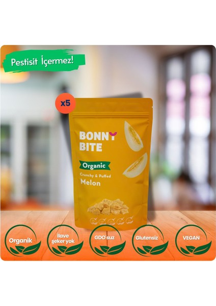 KURUTULMUŞ ÇITIR KAVUN ATIŞTIRMALIĞI 5'Lİ PAKET (18GR*5)