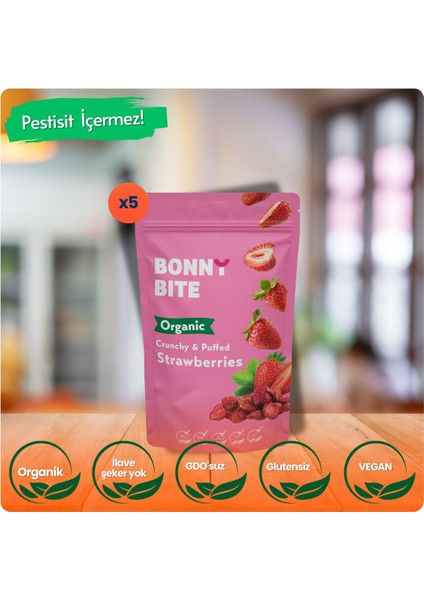 KURUTULMUŞ ÇITIR ÇİLEK ATIŞTIRMALIĞI 5'Lİ PAKET (18GR*5)