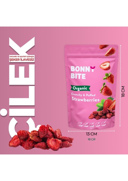 KURUTULMUŞ ÇITIR ÇİLEK ATIŞTIRMALIĞI 5'Lİ PAKET (18GR*5) fiyatları