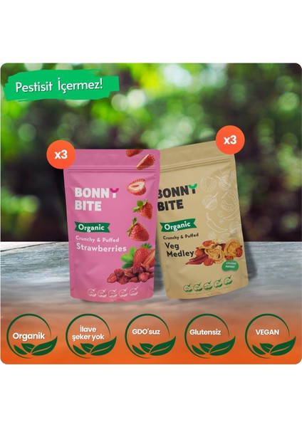 ORGANİK ÇITIR ÇİLEK & ÇITIR SEBZE (KAPYA BİBER, CHERRY DOMATES, SOĞAN) 6'LI PAKETİ