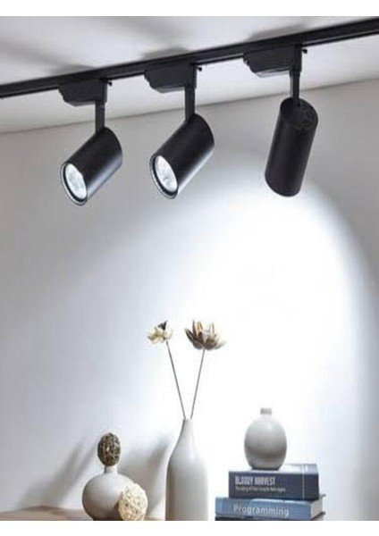 Ray Spot3 30W Siyah Kasa LED