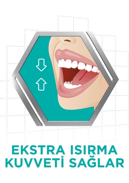 Tat Içermez Protez Yapıştırıcı Krem 40GR - 3 Adet fırsatları