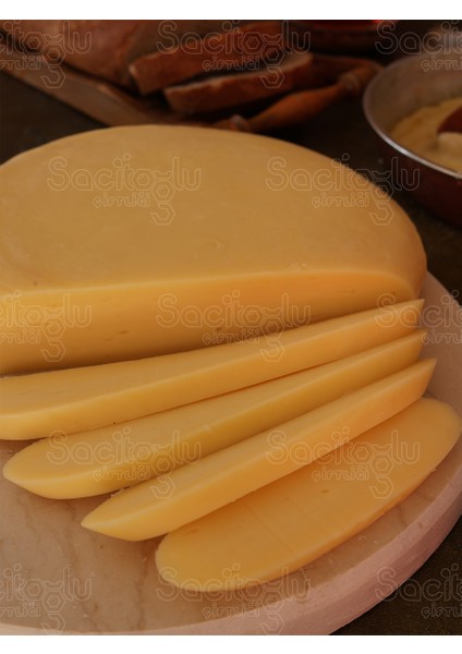 Göbek Kaşar modelleri