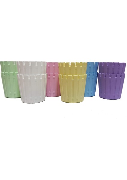 12 Li Akasya 5,5 cm Renkli Plastik Kaktüs Saksısı