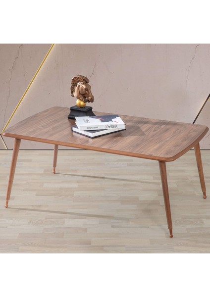60x100 cm Ahşap Lüx Ayaklı Orta Sehpa Ceviz A9 fiyatları