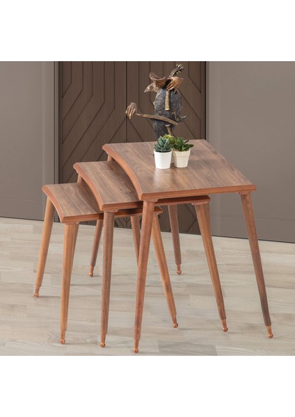 3'Lü Ceviz Dikdörtgen Ahşap Zigon Sehpa Lüx Ayaklı E9