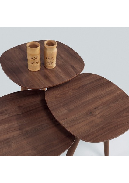 Ahşap 3'lü Yuvarlak Zigon Sehpa Ceviz B1 fiyatları