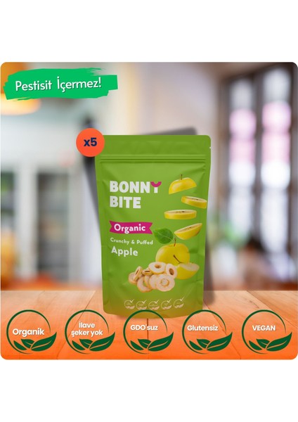 KURUTULMUŞ ÇITIR ELMA ATIŞTIRMALIĞI 5'li PAKET (18gr*5)
