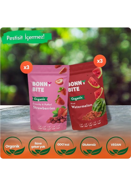 ORGANİK ÇITIR ÇİLEK & KURUTULMUŞ KARPUZ 6'lı PAKETİ