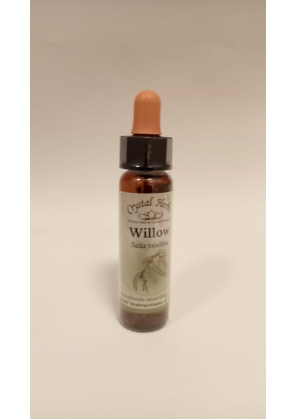 Bach Çiçekleri Willow Söğüt