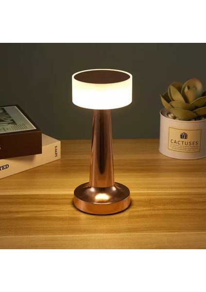 Dokunmatik Şarjlı Masa Gece Lambası, Renkli LED Dekoratif Gümüş Renk fiyatları