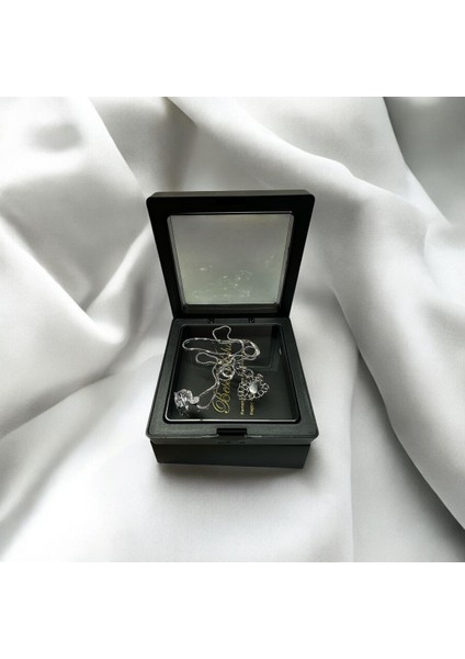 Şeffaf ve Siyah Vakumlu Takı Saklama Kutusu, Şık ve Kullanışlı Tasarım fiyatları