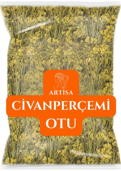 Civan Perçemi Otu Çayı Tohumu 100 gr Yeni Mahsul Bitki Çayı Doğal Bitki