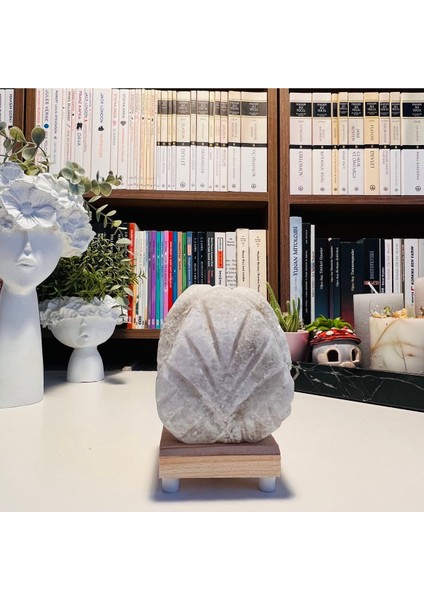 Beyaz Çiçek Tuz Lambası, Şık ve Doğal Dekorasyon Ürünü fiyatları