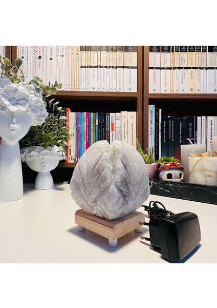 Beyaz Çiçek Tuz Lambası, Şık ve Doğal Dekorasyon Ürünü modelleri