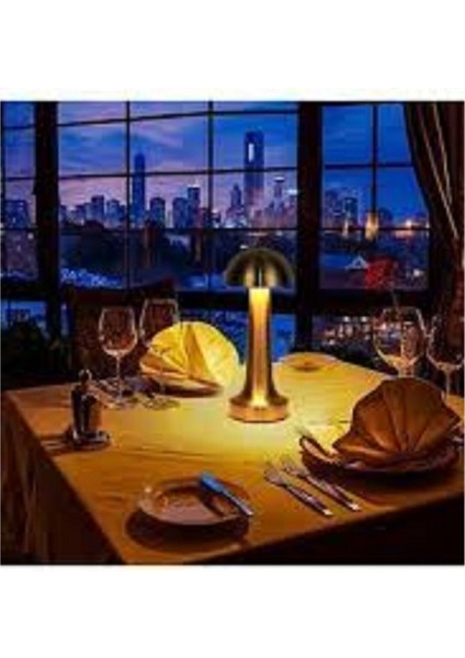 Lizbon Mantar Dokunmatik Şarjlı Masa Lambası, Rose Renk, 23 cm fırsatları