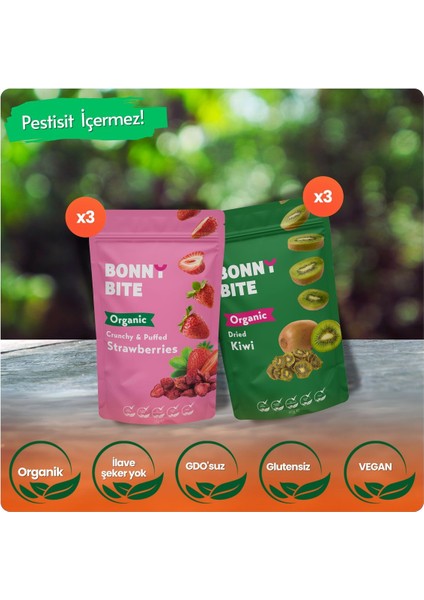 ORGANİK ÇITIR ÇİLEK & KURUTULMUŞ KİVİ 6'lı PAKETİ