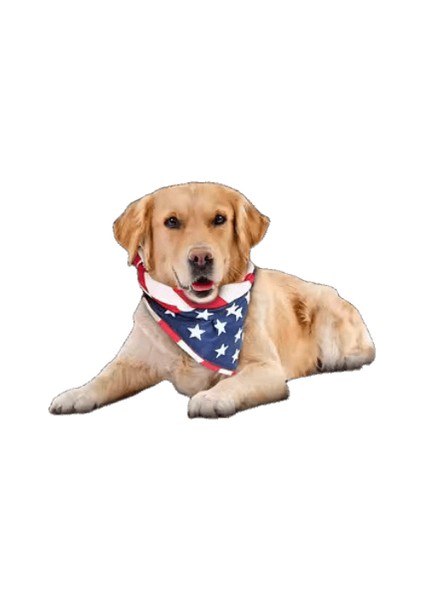 Köpek Araba Koltuğu Kapağı Katlanır Hamak Pet Taşıma Çantası Sepet Taşıma Kedi Kararlı Katlanabilir Seyahat Pet Köpek Araba Koltuğu (Yurt Dışından)