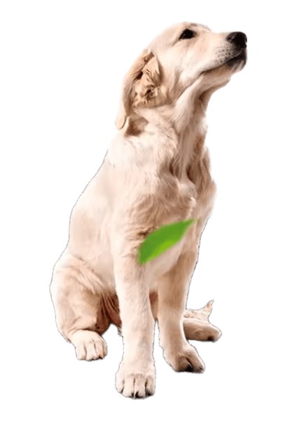 Köpek Araba Koltuğu Kapağı Katlanır Hamak Pet Taşıma Çantası Sepet Taşıma Kedi Kararlı Katlanabilir Seyahat Pet Köpek Araba Koltuğu (Yurt Dışından)