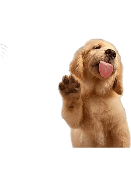 Köpek Araba Koltuğu Kapağı Katlanır Hamak Pet Taşıma Çantası Sepet Taşıma Kedi Kararlı Katlanabilir Seyahat Pet Köpek Araba Koltuğu (Yurt Dışından)