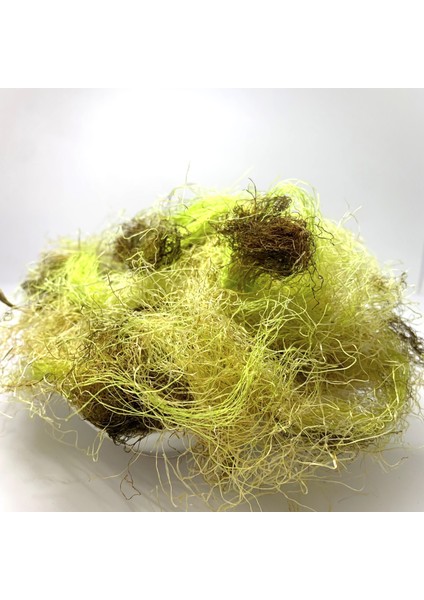 Mısır Püskülü 30 gr