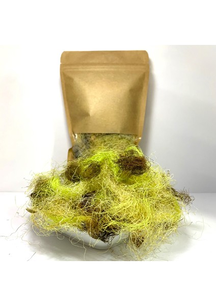 Mısır Püskülü 30 gr fiyatları