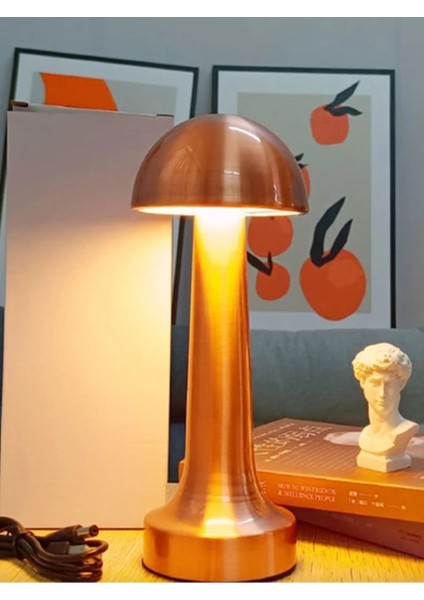 Şarjlı Masa Lambası, Dokunmatik, 3 Kademeli, Metal Tasarım, Şık ve Kullanışlı