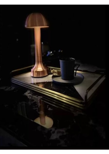 Şarjlı Masa Lambası, Dokunmatik, 3 Kademeli, Metal Tasarım, Şık ve Kullanışlı fiyatları