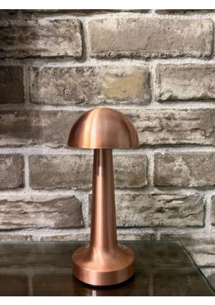 Şarjlı Masa Lambası, Dokunmatik, 3 Kademeli, Metal Tasarım, Şık ve Kullanışlı modelleri