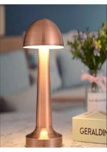 Şarjlı Masa Lambası, Dokunmatik, 3 Kademeli, Metal Tasarım, Şık ve Kullanışlı fırsatları