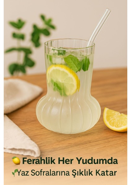 2 Adet Premium Cam Bardak Cam Pipet Hediyeli– Soğuk Kahve, Limonata ve Soda Sunumlar 500 ml modelleri