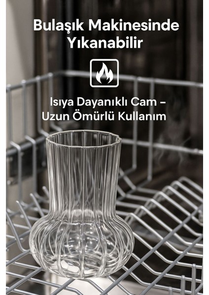 2 Adet Premium Cam Bardak Cam Pipet Hediyeli– Soğuk Kahve, Limonata ve Soda Sunumlar 500 ml fırsatları