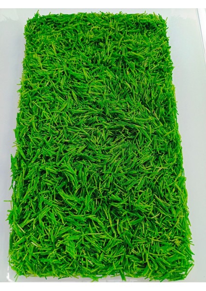 Renkli Duyusal Oyun Malzemesi, Yeşil Tel Şehriye, Eğlenceli ve Öğretici Set fiyatları