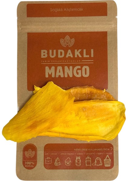 Mango Kurusu 100 Gr fiyatları