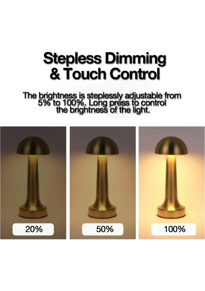 Altın Desenli 3 Renk Dokunmatik Şarjlı Ayarlanabilir Masa Lambası