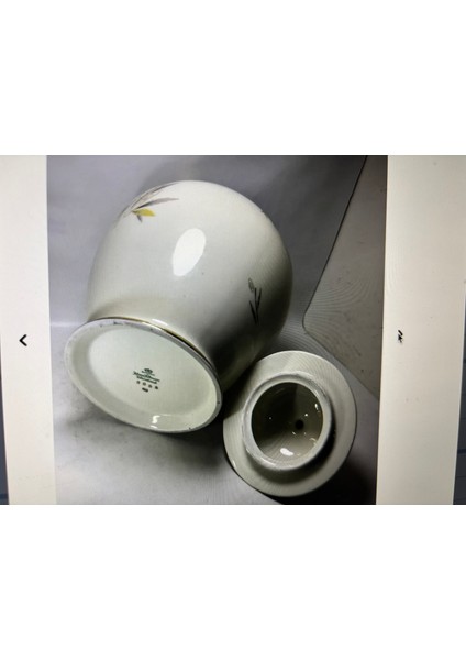 30 cm Boyunda Alman Johann Seltmann Kapaklı Porselen Vazo fırsatları