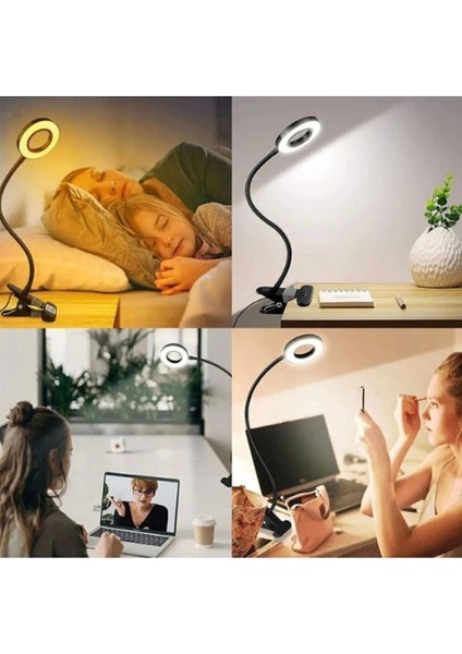 Mandallı Çok Renkli LED Çalışma ve Okuma Işığı, Ayarlanabilir Masa Lambası, Telefon Tutucu fırsatları